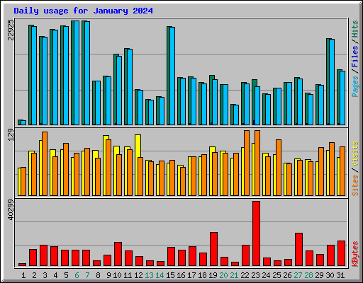 Daily usage for January 2024