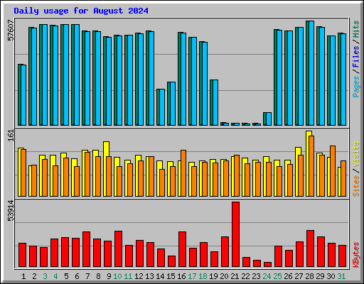 Daily usage for August 2024
