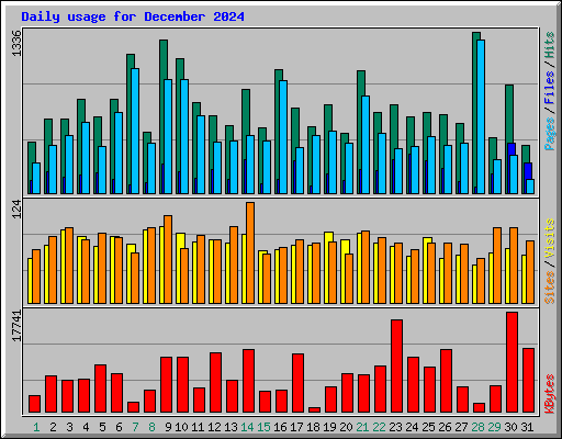 Daily usage for December 2024