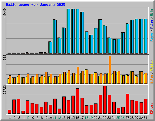 Daily usage for January 2025