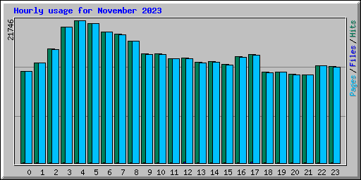Hourly usage for November 2023