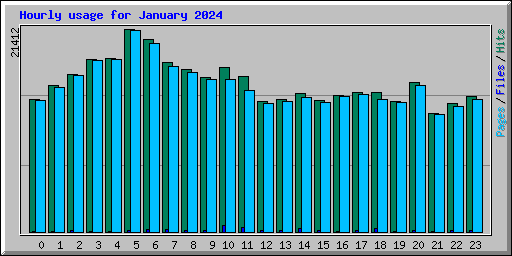 Hourly usage for January 2024