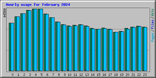 Hourly usage for February 2024