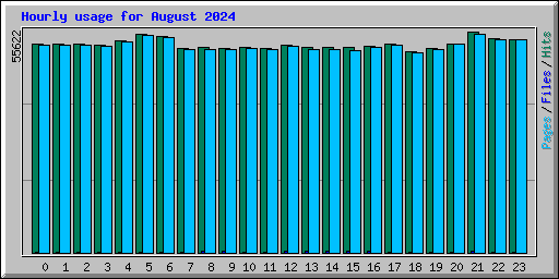 Hourly usage for August 2024
