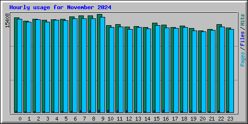 Hourly usage for November 2024