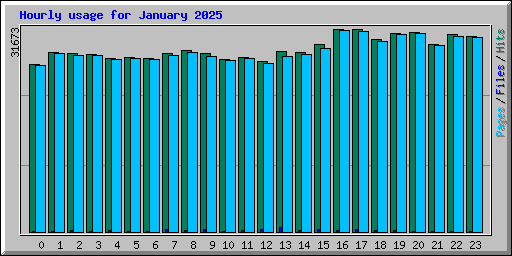 Hourly usage for January 2025