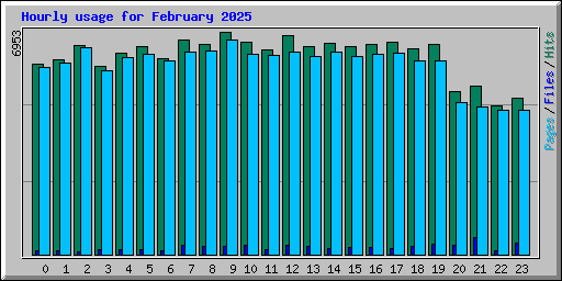 Hourly usage for February 2025