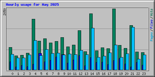 Hourly usage for May 2025
