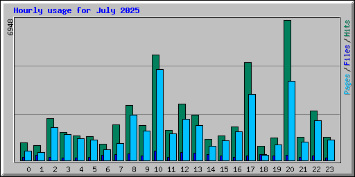 Hourly usage for July 2025